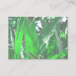 サマービーブスパームツリー葉淡い色のグリーンパステル 名刺