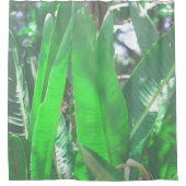 サマービーブバナナツリー葉淡い色のグリーンパステル シャワーカーテン (正面)