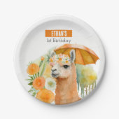 サマービーブラマ – バースデーパーティー –  ペーパープレート (正面)