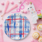 サマーピクニック赤白青BBQガーデンパーティー ペーパープレート (パーティー)