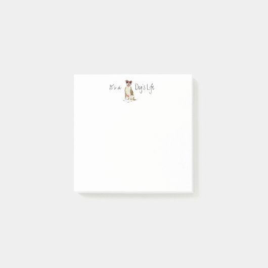 サマーピットブルテリアポストイットノート ポストイット (正面)