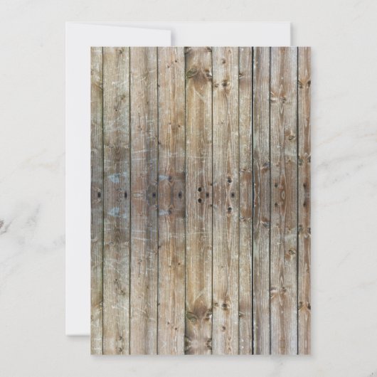 サマーファミリークロウフィッシュ魚介類パーティー 招待状 (裏面)