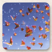 サマーファンタジアコルクコースター コースター (正面)