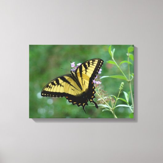 サマーフライヤー！ キャンバスプリント (正面)