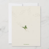 サマーフラワーズマザーズデイ招待状 招待状 (裏面)