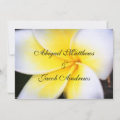 サマーフランギパニフラワーズ結婚式招待状 招待状 (裏面)