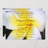 サマーフランギパニフラワーズ結婚式招待状 招待状 (正面/裏面)