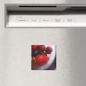 サマーフルーツ磁石 マグネット (インサイチュ (食洗機))