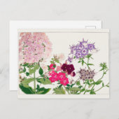 サマーフロックスby谷上湖南 ポストカード (正面/裏面)