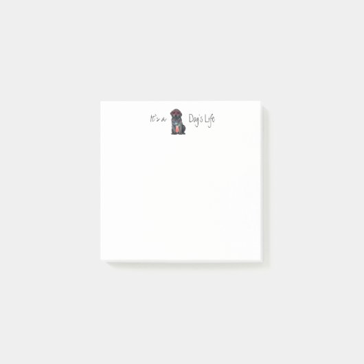 サマーブラックラボ ポストイット (正面)