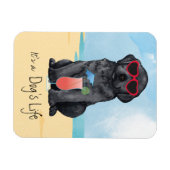 サマーブラックラボ マグネット (横)