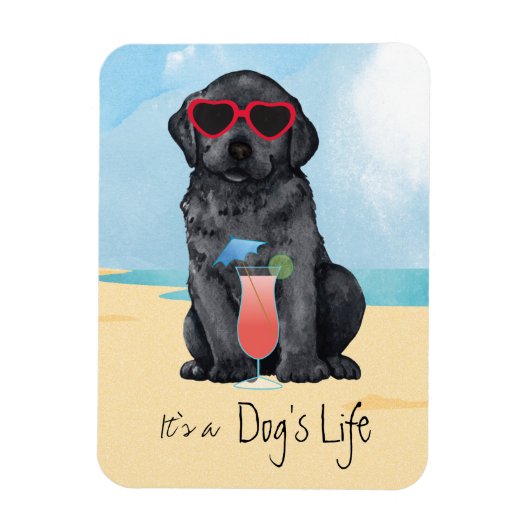 サマーブラックラボ マグネット (縦)