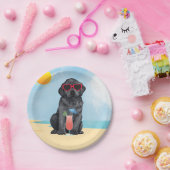 サマーブラック研究所 ペーパープレート (パーティー)