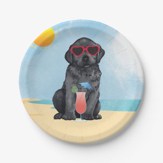 サマーブラック研究所 ペーパープレート (正面)