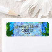 サマーブルーアジサイの花とその葉緑 ラベル (インサイチュ)