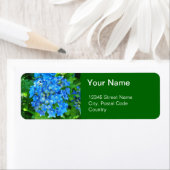 サマーブルーアジサイの花とその葉緑 ラベル (インサイチュ)