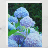 サマーブルーアジサイ花スクラップブック紙 (正面/裏面)