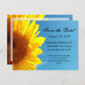 サマーブルースカイイエローサンフラワー日付を保存 案内ポストカード (正面/裏面)