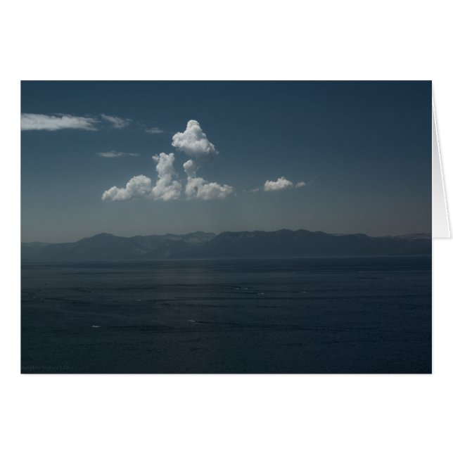 サマーブルースカード (正面横)