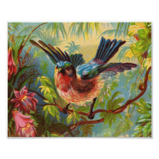 サマーブルーバードフォトプリント フォトプリント            (正面)