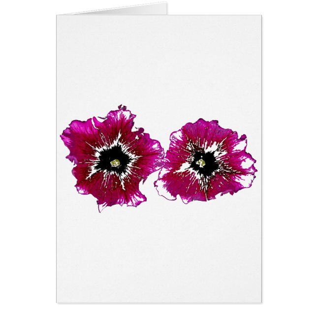 サマーペチュニア (正面)