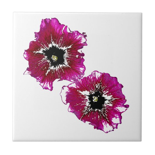 サマーペチュニア タイル (正面)