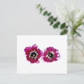 サマーペチュニア ポストカード (スタンド正面)