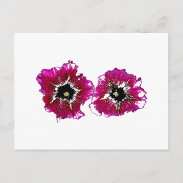 サマーペチュニア ポストカード