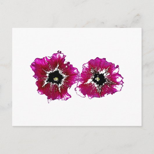 サマーペチュニア ポストカード (正面)