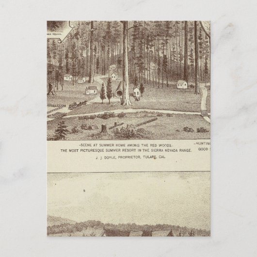 サマーホームルイス ポストカード (正面)