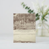 サマーホームルイス ポストカード (スタンド正面)