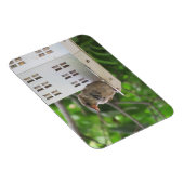 サマーマグネットの雄スズメ マグネット (右側)