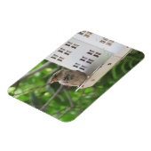 サマーマグネットの雄スズメ マグネット (左側)