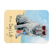 サマーマスティーノマグネット マグネット (横)