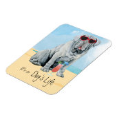 サマーマスティーノマグネット マグネット (左側)