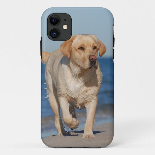 サマーラボ Case-Mate iPhoneケース (裏面)