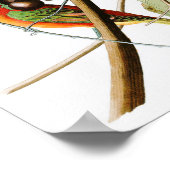 サマーレッドバードジョンジェームズオードボンバーズアメリカ ポスター (角)