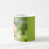 サマーロビン コーヒーマグカップ (中央)