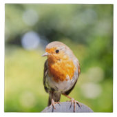 サマーロビン タイル (正面)