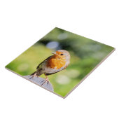 サマーロビン タイル (側面)