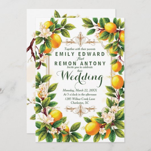 サマー地中海のエレガンス結婚ズ 招待状 (正面/裏面)