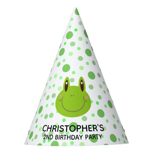 サマー子供の誕生日パーティーカエル パーティーハット (正面)