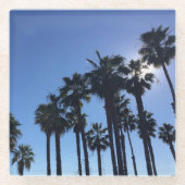 サマー海パームズブルーカラー写真 ガラスコースター (正面)