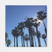 サマー海パームズブルーカラー写真 マグネット (正面)