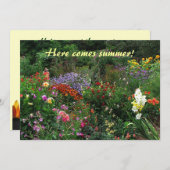 サマー至ガーデンパーティの招待状 招待状 (正面/裏面)