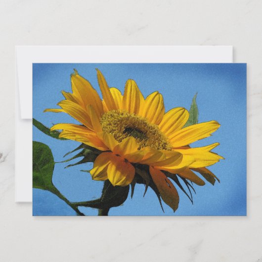 サマー至パーティの招待状 招待状 (正面)