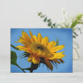 サマー至パーティの招待状 招待状 (スタンド正面)