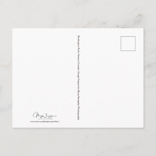 サマー航海のビーチフロントブルートレンディー ポストカード (裏面)