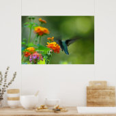 サマー・ハマー ポスター (キッチン)