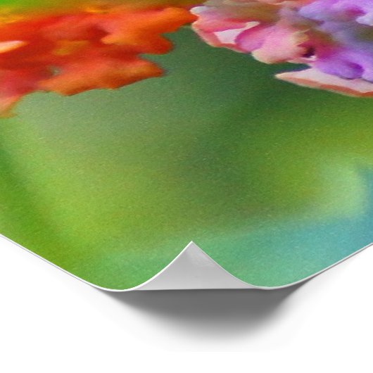 サマー・ハマー ポスター (角)